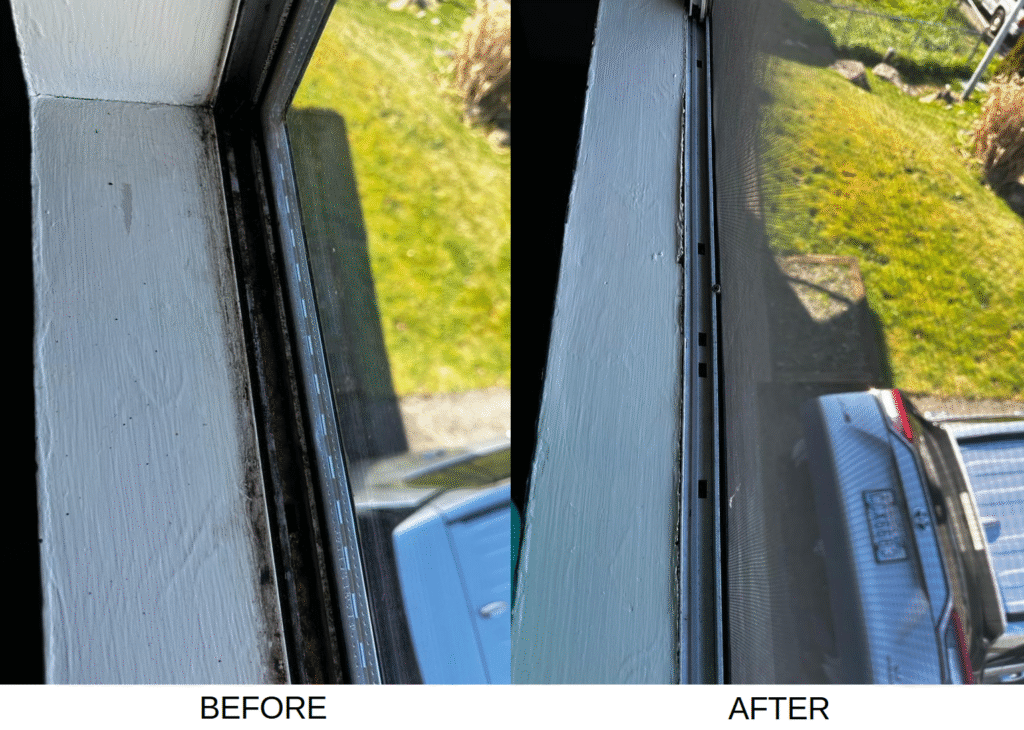 Window Track - Before and After